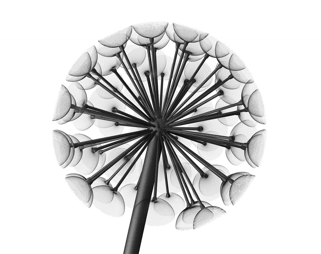 Фонарь уличный Данди 4м/1200 - вид 4