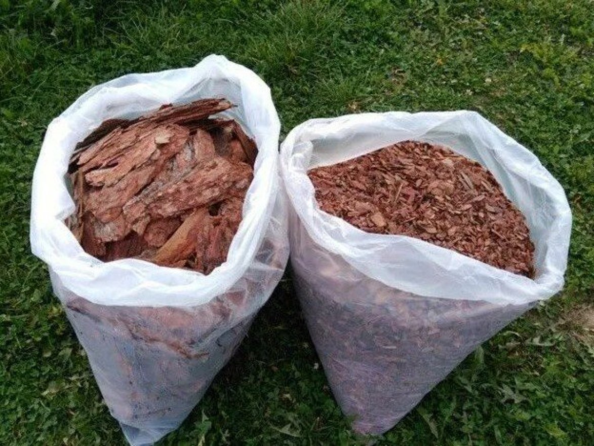 Кора сосны крупная 5-10 см - вид 4